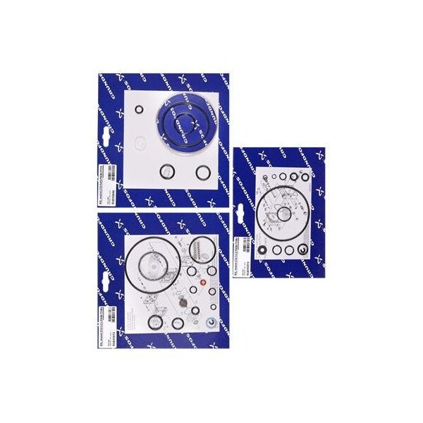 Pump Repair Parts- Kit, maint.Cl2/103/FKM/TFM1700/<2kg/h, Dosing Pumps.